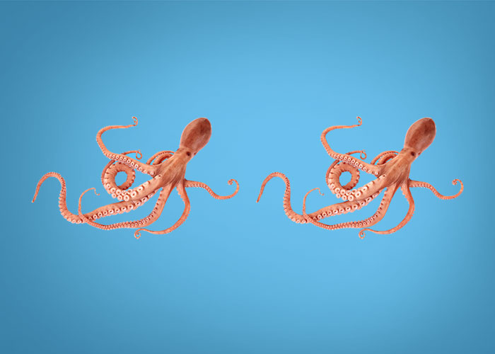 double, double — Mastercard